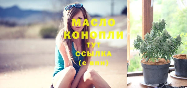 spice Бородино