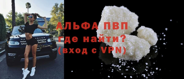 spice Бородино