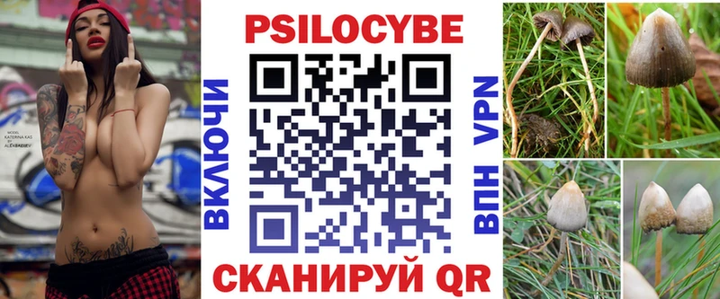 Галлюциногенные грибы Psilocybine cubensis  купить закладку  KRAKEN зеркало  Гусев 