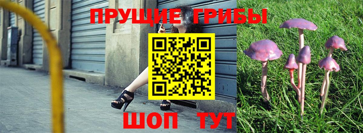 Псилоцибиновые грибы прущие грибы Гусев
